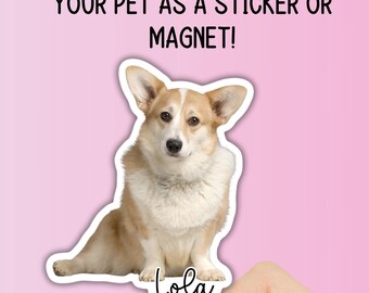 Dog Photo Sticker, Custom Pet Sticker, Custom Dog Stickers, Dog Name Sticker, Cat photo Sticker, Dog Stickers, animal, magnet, cat mom gift