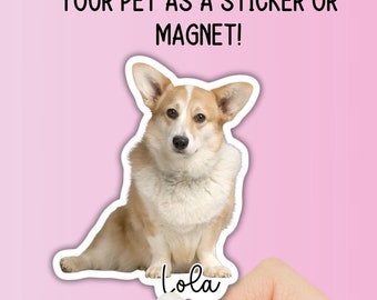 Dog Photo Sticker picture Custom Pet Sticker cat Magnet Dog Sticker Dog Name Personalized Dog Sticker Dog Cat dog mom gift pet picture gift