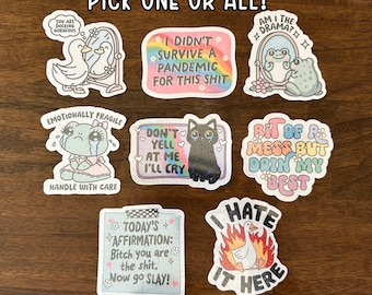 Funny snarky adult meme sticker magnets meme witty goose anxiety don't yell Humor Sarcastic magnet Sarcasm quote hilarious gift