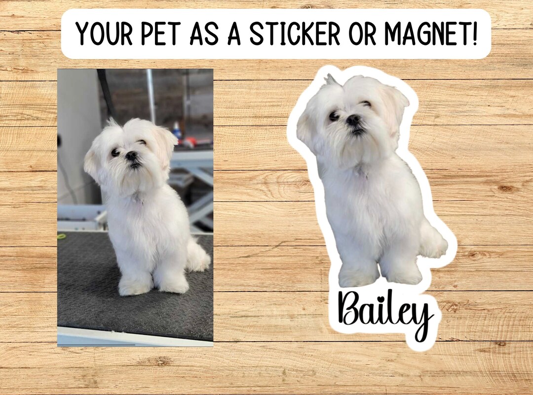 Dog Photo Sticker, Custom Pet Sticker, Custom Dog Stickers, Dog Name