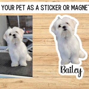 Dog Photo Sticker, Custom Pet Sticker, Custom Dog Stickers, Dog Name Sticker, Personalized Dog Sticker, Dog Stickers, animal, magnet, cat