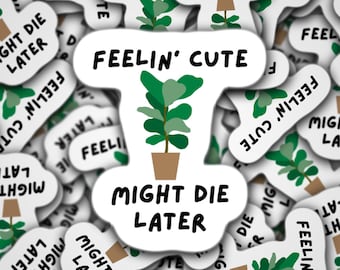 Feelin cute might die later, fiddle leaf fig sticker, funny fiddle leaf fig sticker, plant sticker, plant mom sticker, plant life sticker