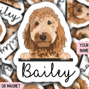 Golden Doodle Sticker, Pet name sticker, Doodle sticker, Goldendoodle Sticker, Custom pet sticker, Dog food sticker Doodle mom, dog mom gift