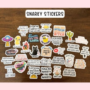 Snarky funny stickers adult inappropriate pun hilarious sarcastic water bottle cat anxiety dramatic lap top quotes gift cute introvert