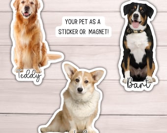 May include: Three dog stickers with their names Teddy, Lola, and Bart. The text "Your pet as a sticker or magnet!" is at the top of the image.