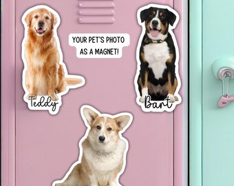 Dog Picture magnet Custom Pet photo Sticker cat Magnet Dog Sticker Dog Name Personalized Dog Sticker Dog Cat dog mom gift pet picture gift