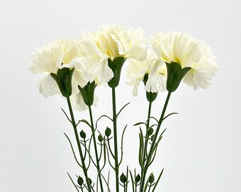 Cream Silk Carnation Flower Stem: 19" Faux Floral Arrangement