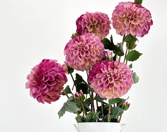 31" Purple Ombre Silk Dahlia: Realistic Artificial Flower