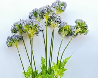 26" Purple Queen Anne's Lace Stem: Faux Floral Bouquet