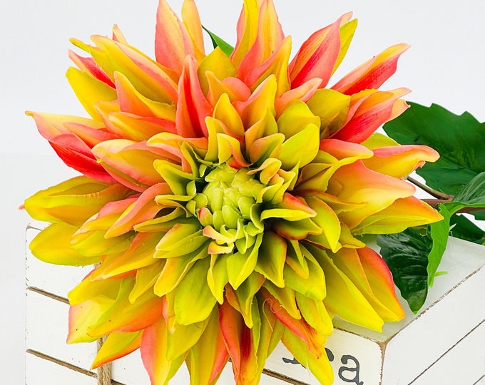 Green Pink Real Touch Large Dahlia | Extremely Realistic Luxury Quality Artificial Flower | Wedding/Home Decoration | Gifts | Decor | Floral