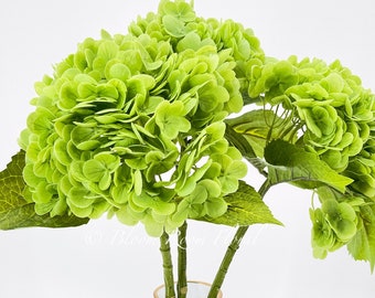 Green Real Touch Large Hydrangea | Extremely Realistic Luxury Quality Artificial Flower | Wedding/Home Decoration Gifts Decor Floral H-005