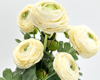 Tige de renoncule blanc crème | Fleur artificielle en soie réaliste