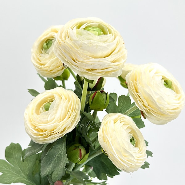 White/Cream Ranunculus High-Quality Artificial Flower | Wedding/Home Decoration Gifts | Decor | Floral Artificial Flower, Craft Supply, Faux