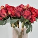 see more listings in the Peonies section