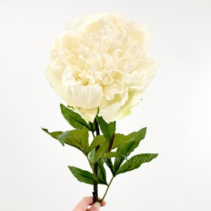 31 White Peony Real Touch Stem Realistic High-Quality Artificial Kitchen/Wedding/Home Decor Gift French Floral Flower Bouquet P-051 image 1