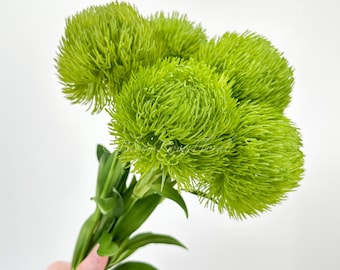 Real Touch Light Green Dianthus: Luxury Artificial Flower Stem (19")