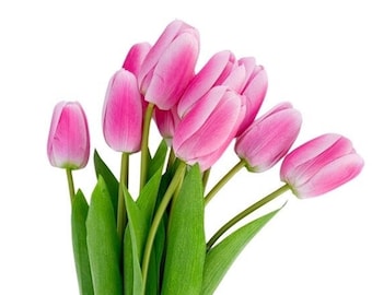 10 felroze echte touch-tulpstelen, imitatiebloemendecor, 16 inch