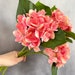 see more listings in the Hydrangeas section