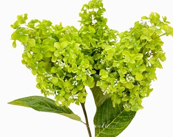 35” Cone Hydrangea Stem Extremely Realistic Luxury Quality Artificial Flower Wedding/Home Decoration Gifts | Decor Silk Floral Flowers DGr