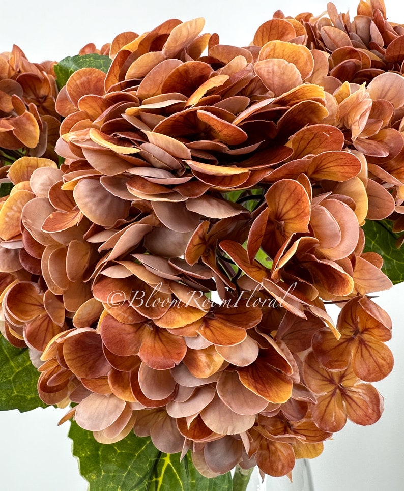 Coco Brown Real Touch Hydrangea: Luxury Artificial Flower, 21