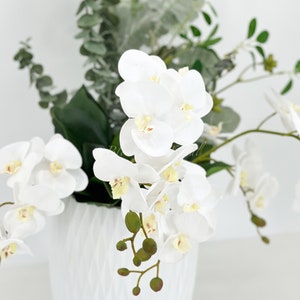 May include: White orchid flowers in a white ceramic vase with green leaves.
