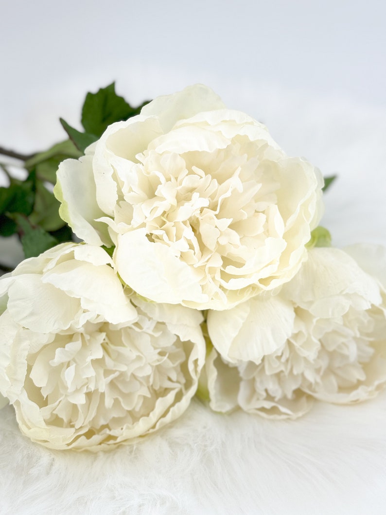 31 White Peony Real Touch Stem Realistic High-Quality Artificial Kitchen/Wedding/Home Decor Gift French Floral Flower Bouquet P-051 image 6