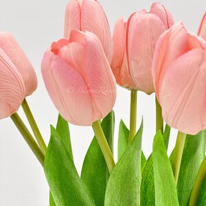 Puede incluir: Primer plano de un ramo de tulipanes rosas con tallos y hojas verdes. Los p&eacute;talos tienen un aspecto suave y texturizado, y las hojas son de un verde vibrante. Las flores est&aacute;n sobre un fondo blanco.