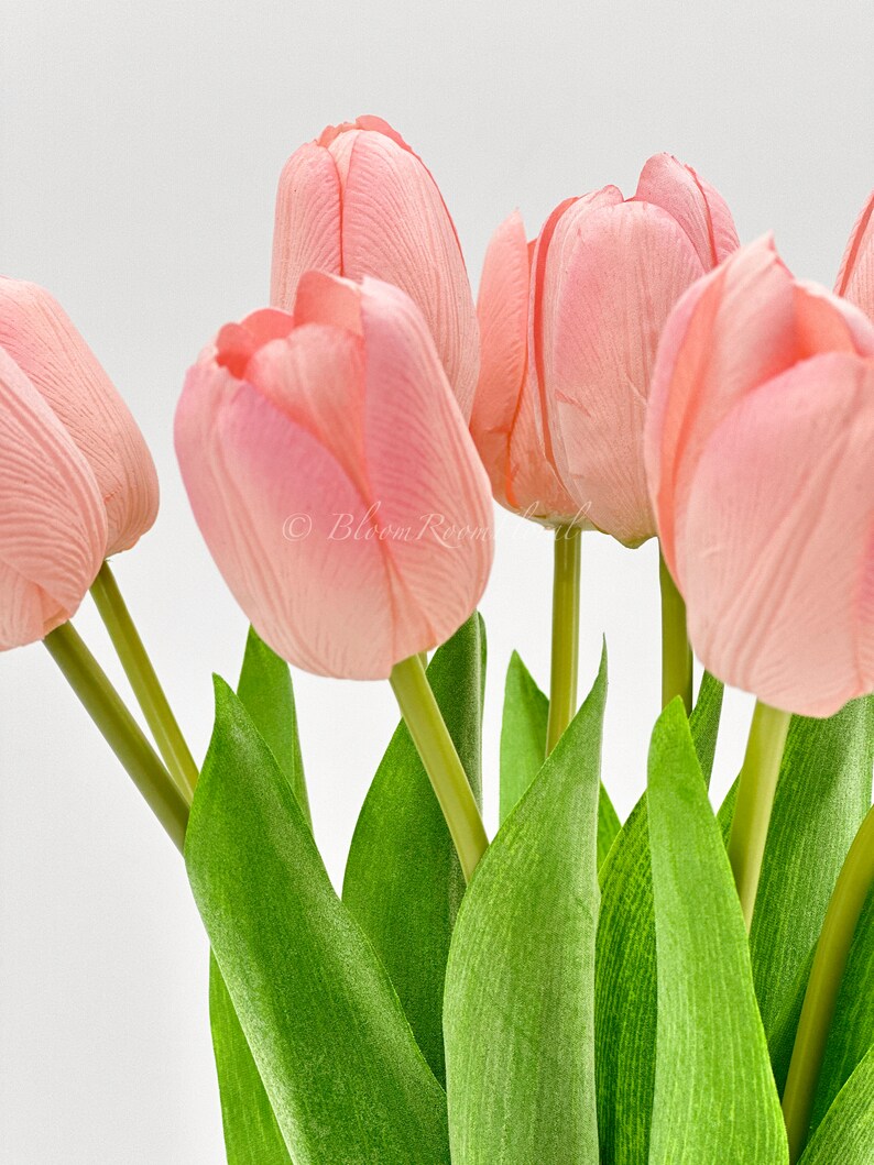 Puede incluir: Primer plano de un ramo de tulipanes rosas con tallos y hojas verdes. Los p&eacute;talos tienen un aspecto suave y texturizado, y las hojas son de un verde vibrante. Las flores est&aacute;n sobre un fondo blanco.