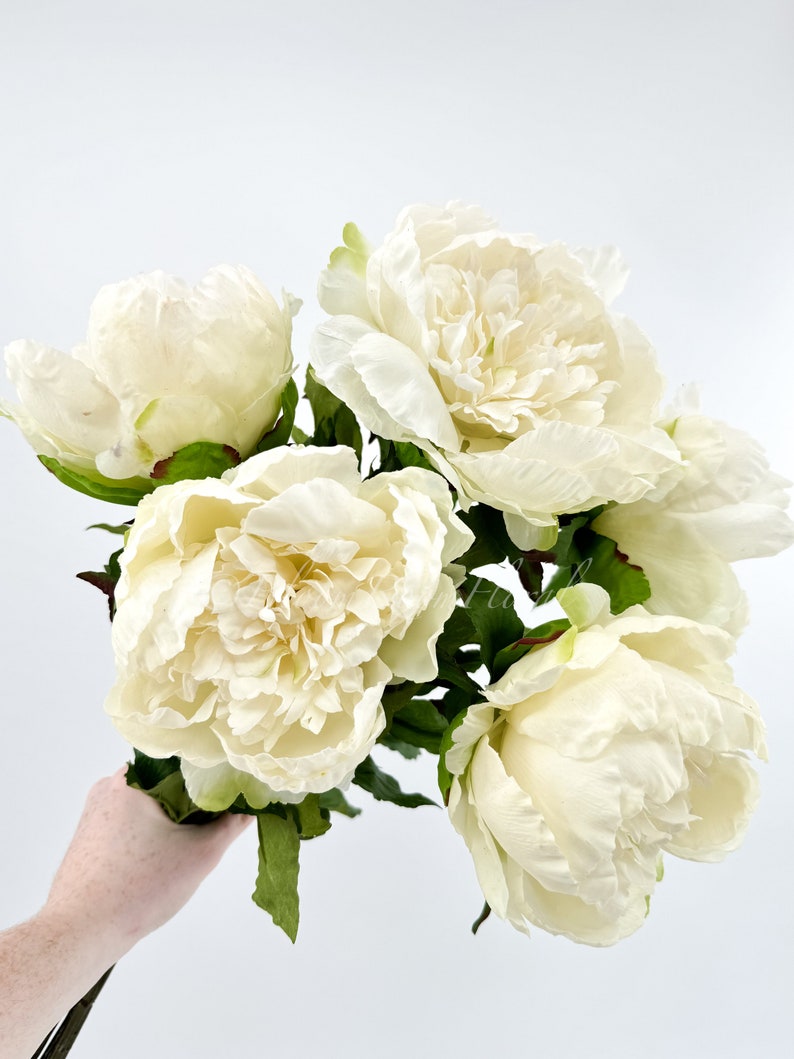 31 White Peony Real Touch Stem Realistic High-Quality Artificial Kitchen/Wedding/Home Decor Gift French Floral Flower Bouquet P-051 image 8