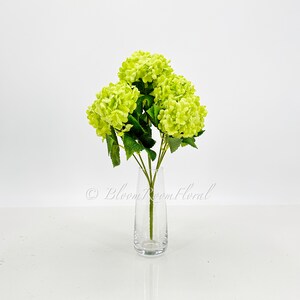 May include: A bouquet of green hydrangea flowers in a clear glass vase. The flowers are arranged in a simple, elegant style.