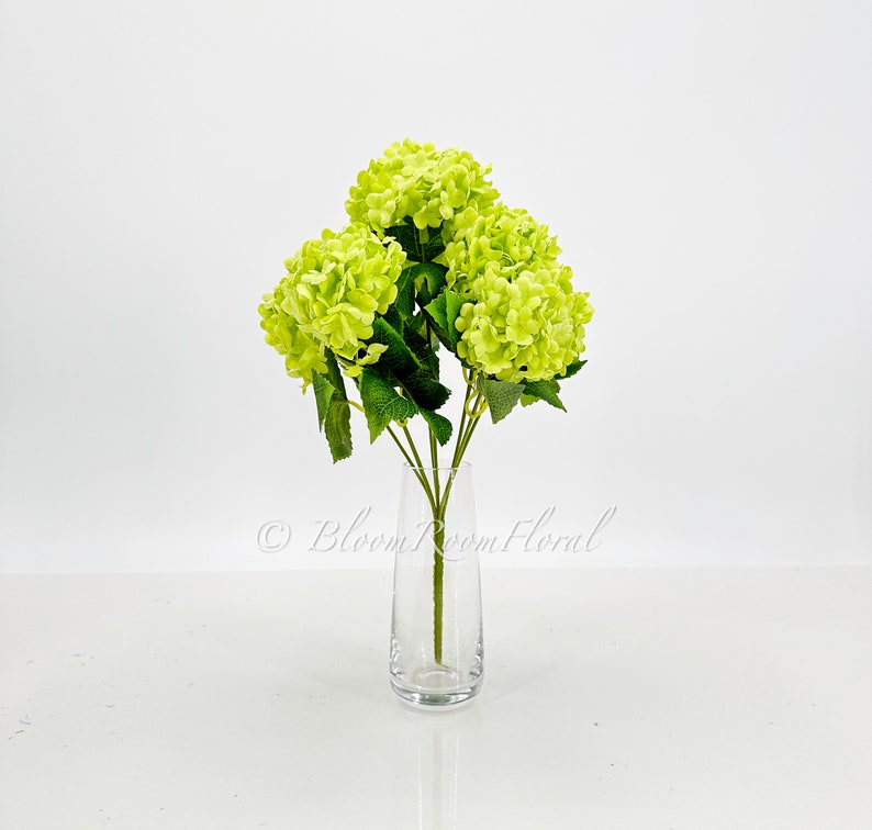 May include: A bouquet of green hydrangea flowers in a clear glass vase. The flowers are arranged in a simple, elegant style.