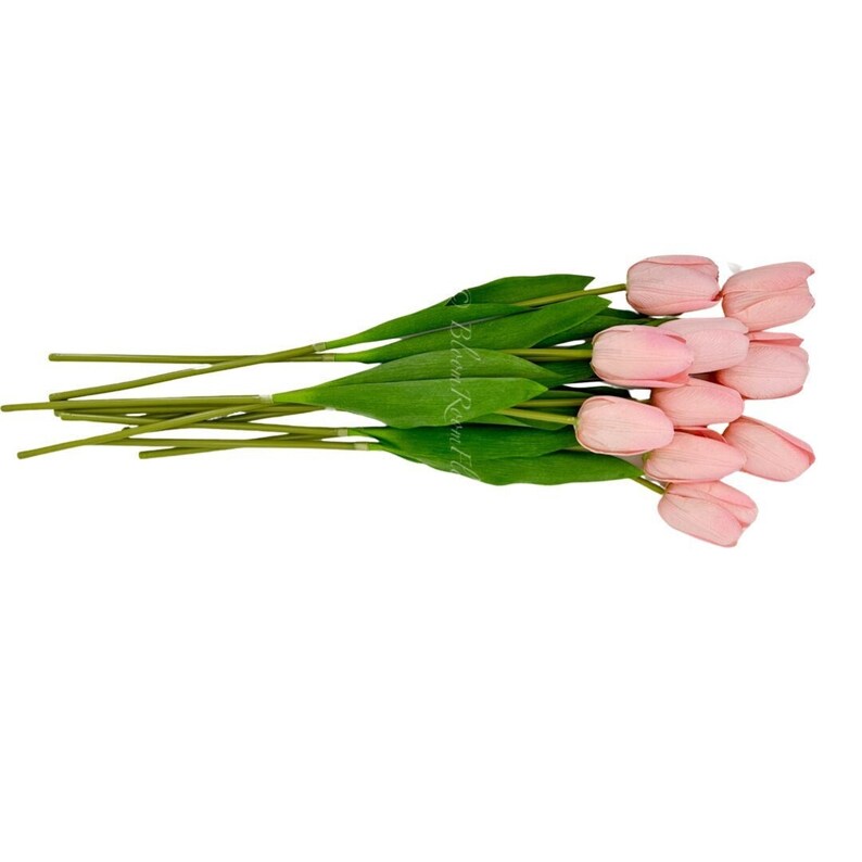 Puede incluir: Un ramo de tulipanes artificiales con p&eacute;talos de color rosa claro y tallos y hojas verdes. Los tulipanes est&aacute;n dispuestos horizontalmente sobre un fondo blanco. Los tallos son largos y delgados, y las hojas son de un verde vibrante.