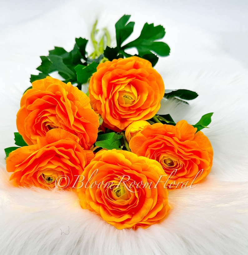 May include: A bouquet of six bright orange ranunculus flowers with green leaves. The flowers are arranged in a cluster and are in focus. The background is a white fuzzy surface.