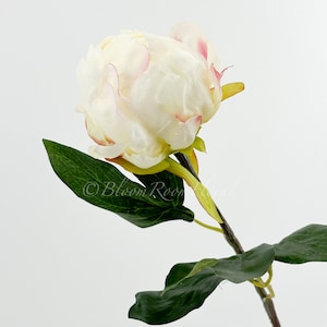 18 White Peony Bud Stem Faux Artificial Centerpiece Wedding/Home Decor Gift Decor Floral Silk Flowers French Decor Realistic P-038 image 1