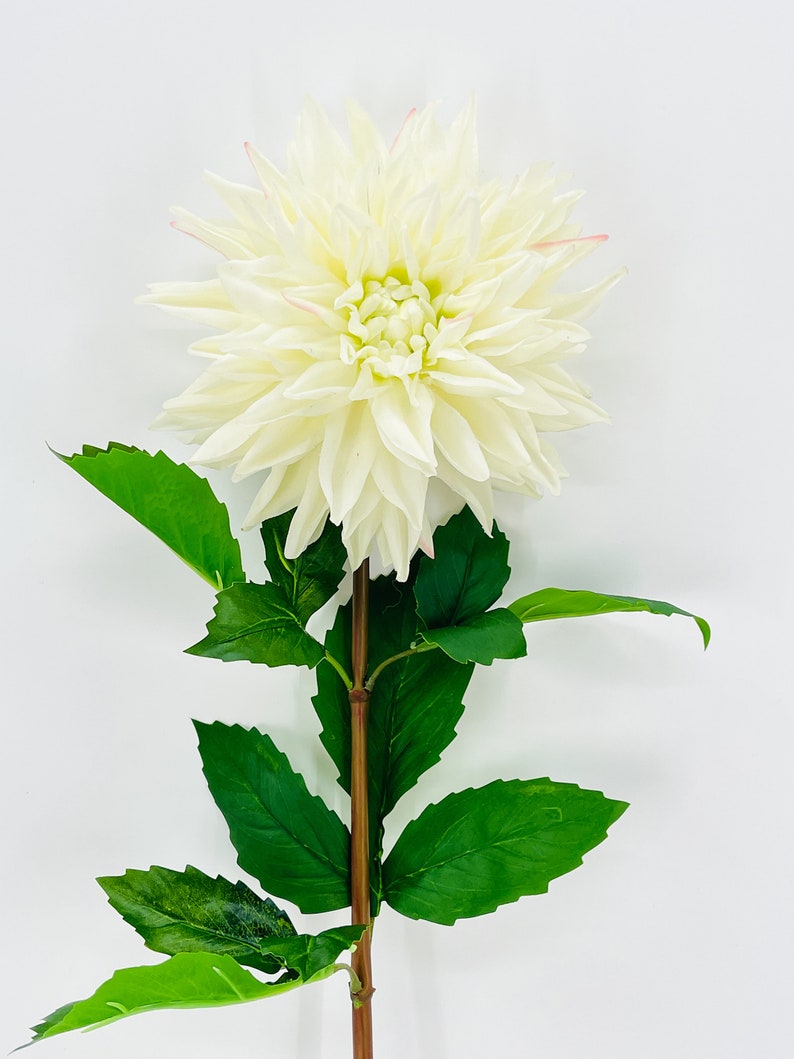 White Real Touch Large Dahlia Extremely Realistic Luxury Quality Artificial Flower Wedding/Home Decoration Gifts Decor Floral D-002 image 5