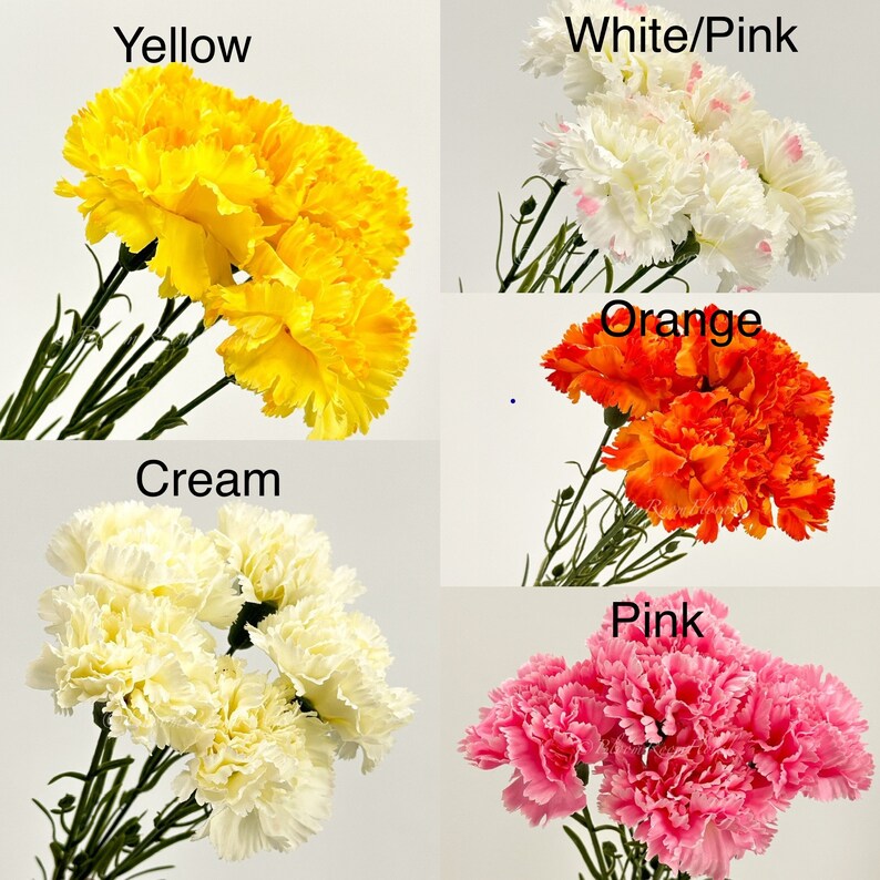 May include: A bouquet of six artificial carnations in five different colors: yellow, white with pink accents, orange, cream, and pink. The carnations are arranged in a cluster with green stems.