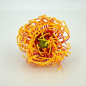 K&ouml;nnte beinhalten: Nahaufnahme einer einzelnen orangefarbenen und gelben Protea-Blume. Die Blume hat ein stacheliges, strukturiertes Aussehen und eine gr&uuml;ne Mitte.