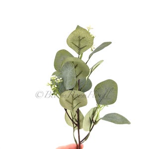 Tallo de hoja de eucalipto con semillas: vegetación artificial, decoración para bodas G20