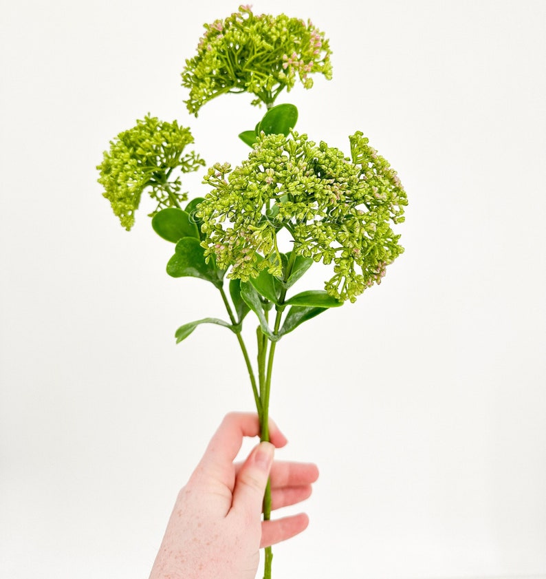 May include: A bouquet of green artificial flowers with small pink buds. The flowers are arranged in a cluster and have a delicate, feathery appearance.
