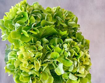 Green Real Touch Hydrangea: Realistic Luxury Artificial Flower, 20" Stem
