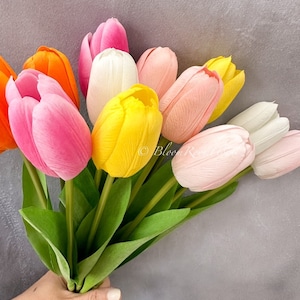 12 Stems Real Touch Tulips Stems, Multicolor Artificial Flower High Quality Faux Floral, Wedding/Home Gifts Decor Floral Craft Tulip Flower