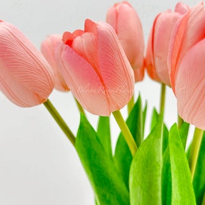 Puede incluir: Un ramo de tulipanes rosas con tallos y hojas verdes. Los p&eacute;talos tienen una apariencia texturizada, y las flores est&aacute;n en varias etapas de floraci&oacute;n. El fondo es blanco suave, resaltando los colores vibrantes de los tulipanes.