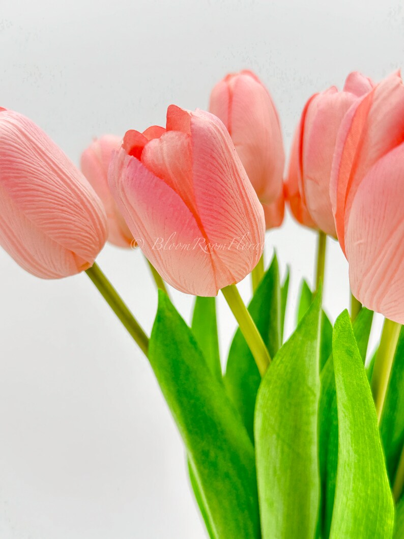 Puede incluir: Un ramo de tulipanes rosas con tallos y hojas verdes. Los p&eacute;talos tienen una apariencia texturizada, y las flores est&aacute;n en varias etapas de floraci&oacute;n. El fondo es blanco suave, resaltando los colores vibrantes de los tulipanes.