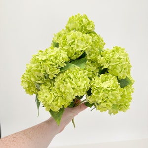 May include: A bouquet of artificial green hydrangea flowers.
