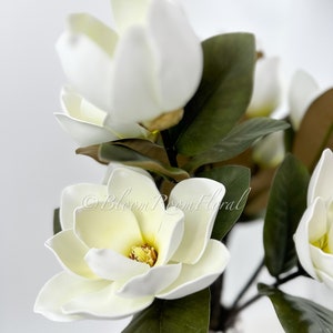 K&ouml;nnte beinhalten: Nahaufnahme von wei&szlig;en Magnolienbl&uuml;ten mit dunkelgr&uuml;nen Bl&auml;ttern. Die Bl&uuml;ten haben eine cremefarbene gelbe Mitte und sind in voller Bl&uuml;te. Das Bild ist gut beleuchtet und zeigt die zarten Bl&uuml;tenbl&auml;tter und Texturen. Die Blumen sind Teil eines Blumenarrangements.