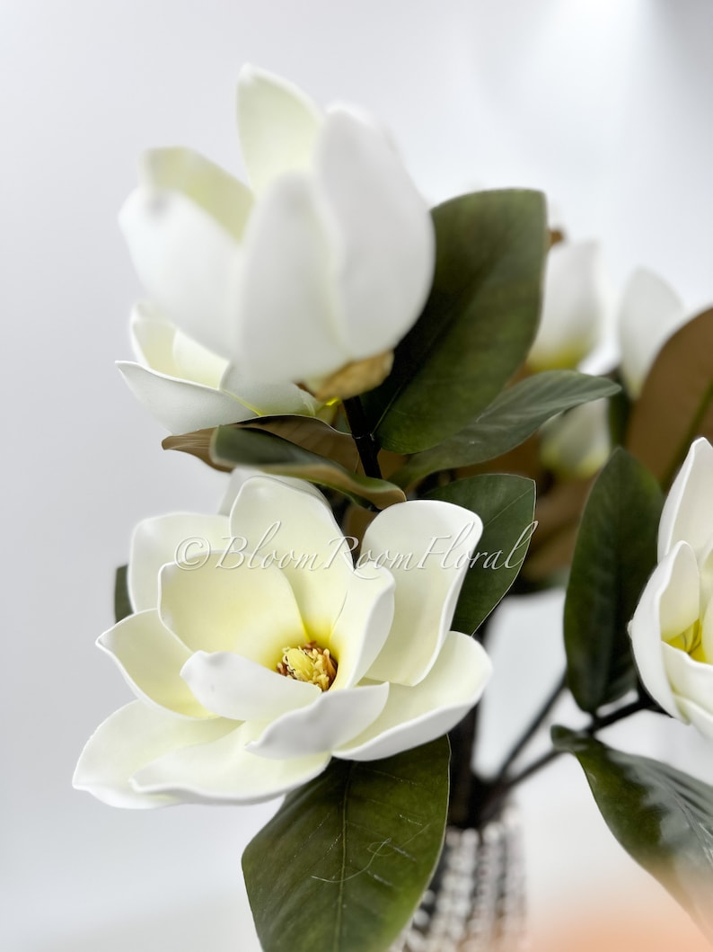 K&ouml;nnte beinhalten: Nahaufnahme von wei&szlig;en Magnolienbl&uuml;ten mit dunkelgr&uuml;nen Bl&auml;ttern. Die Bl&uuml;ten haben eine cremefarbene gelbe Mitte und sind in voller Bl&uuml;te. Das Bild ist gut beleuchtet und zeigt die zarten Bl&uuml;tenbl&auml;tter und Texturen. Die Blumen sind Teil eines Blumenarrangements.