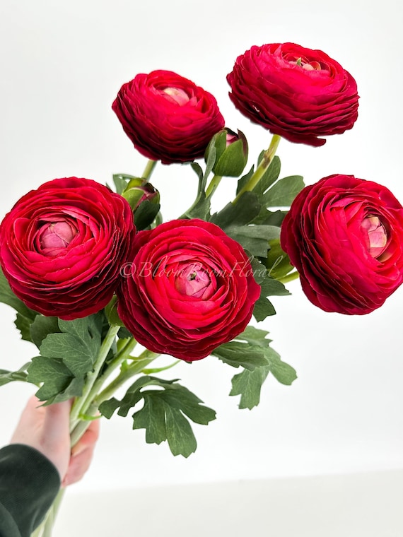 Silk Red Ranunculus Stem | High-Quality Faux Floral Decor