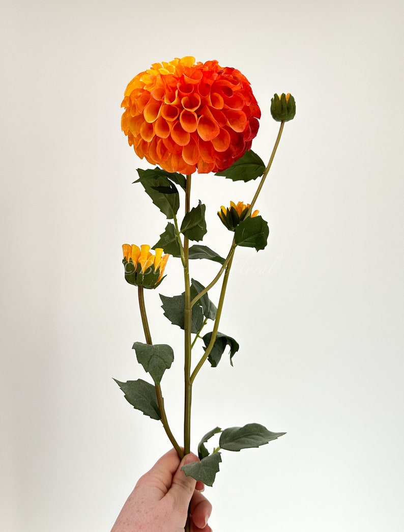 May include: A single stem of orange and yellow dahlia flowers with green leaves. The flower is in bloom and has a round shape.