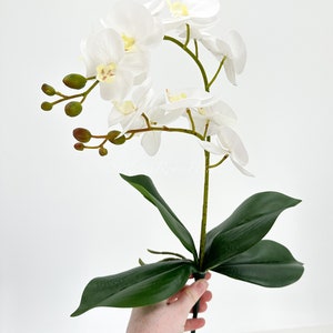 May include: A white artificial orchid plant with green leaves. The orchid has multiple white flowers with yellow centers.