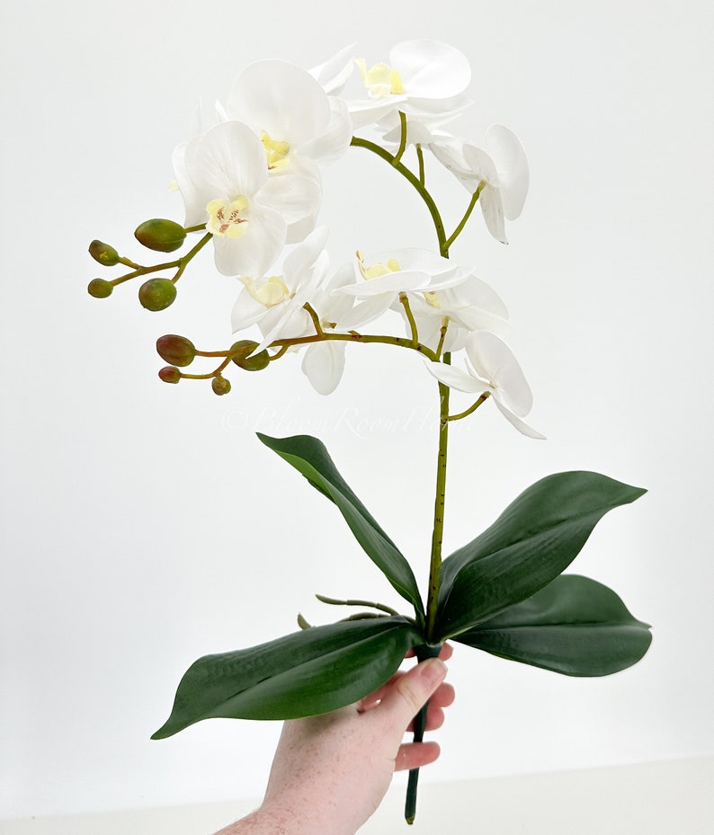 May include: A white artificial orchid plant with green leaves. The orchid has multiple white flowers with yellow centers.